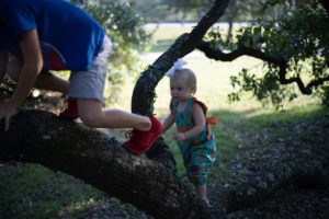 Children climbing Tree