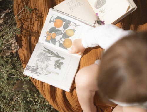 The History and Purpose of Book Week Celebrations