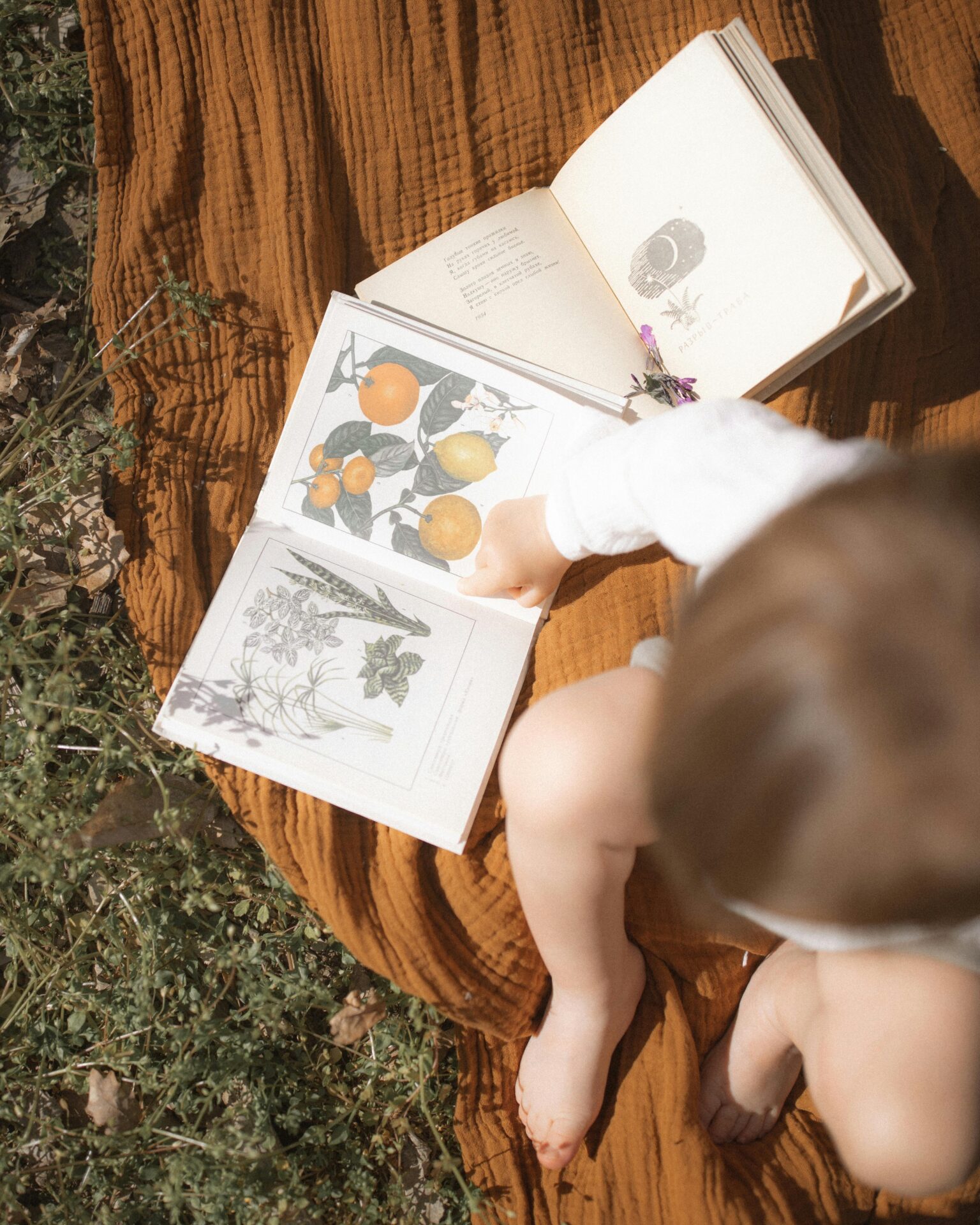 The History and Purpose of Book Week Celebrations
