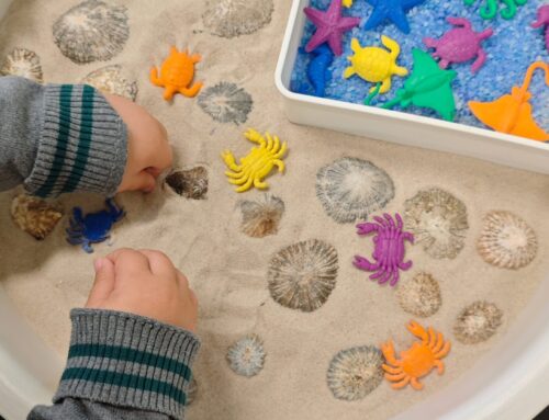 5 Whitsundays-Inspired Toddler Activities to Try This June at Arden Airlie Beach