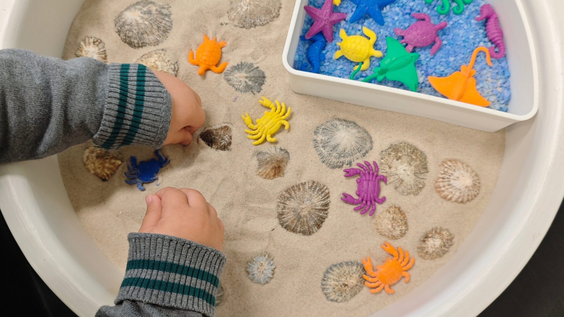 child playing with beach ocean sea themed sensory tray